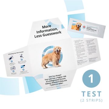 A single Petivity at home kidney health testing kit for dogs.