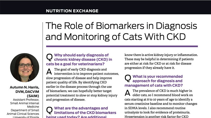 The Role of Biomarkers in Diagnosis and Monitoring of Cats With CK