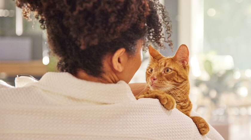 A human holding a cat