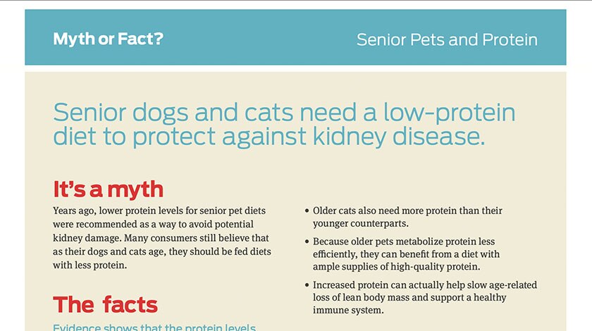 Depiction of bacteria in digestive tract.