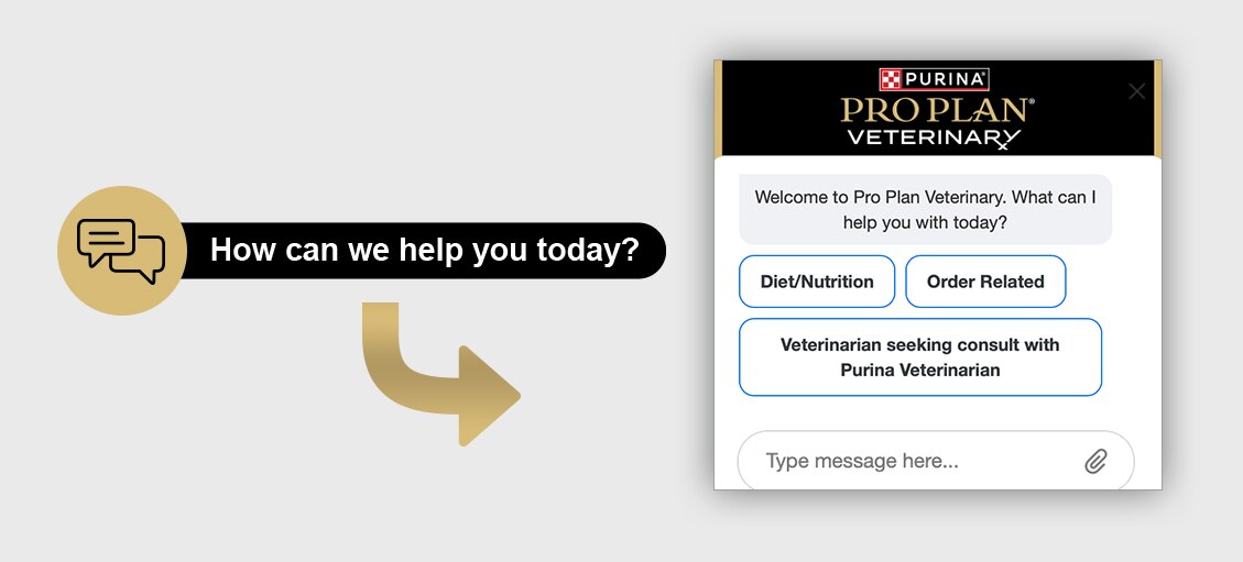 A screen capture of the P4P Retriever bot chat with a &ldquo;How can we help you today?&rdquo; callout.