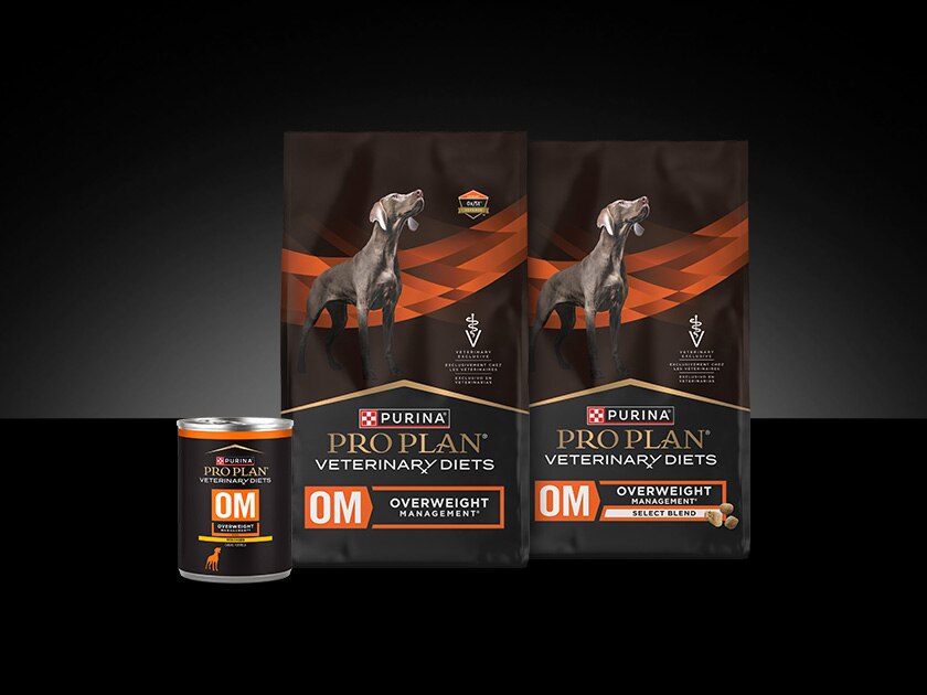 Lineup of Pro Plan Veterinary Diets OM Overweight Management canine formulas