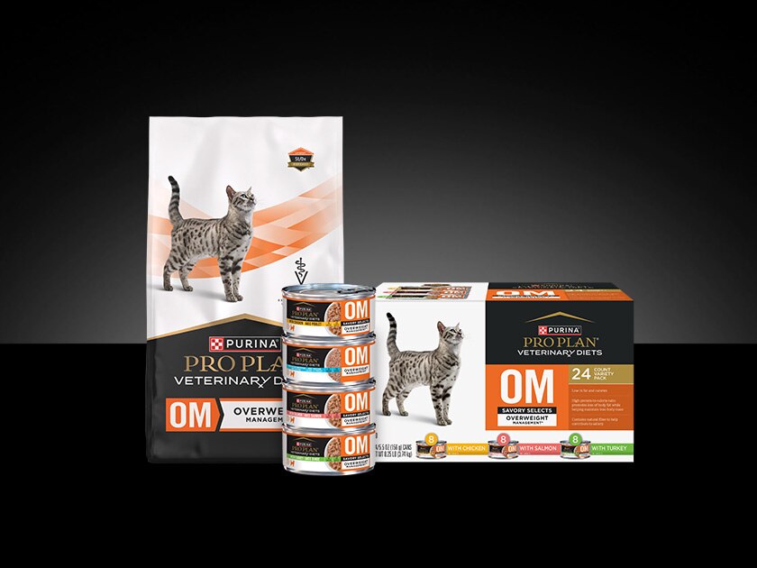 Lineup of Pro Plan Veterinary Diets OM Overweight Management feline formulas