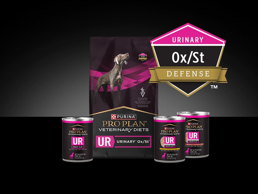 Canine Pro Plan Veterinary Diet UR Urinary&reg; Ox/St&trade; package.