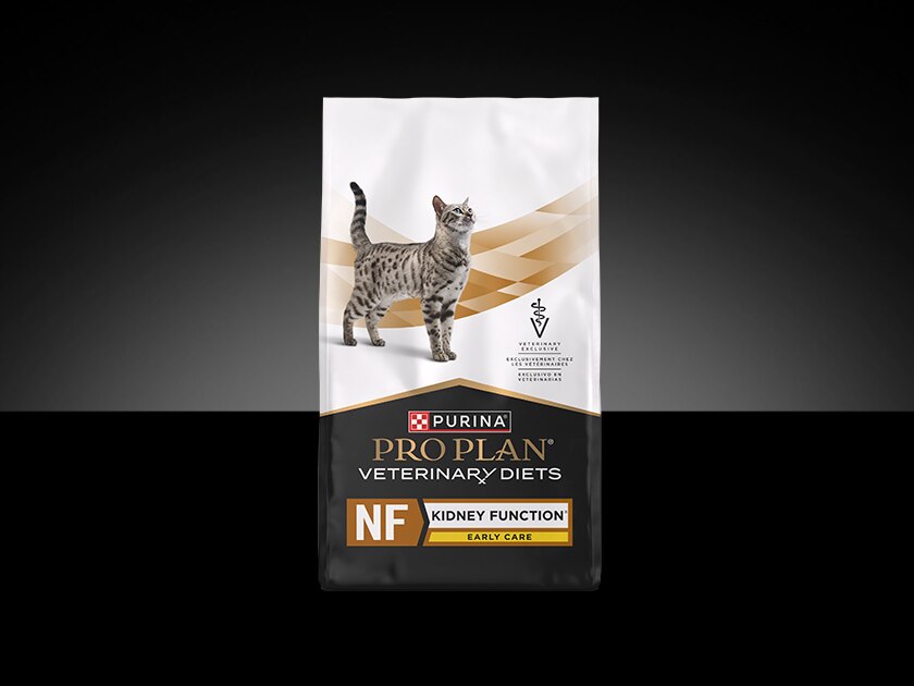 Pro Plan Veterinary Diets Kidney Function Early Care dry feline formula