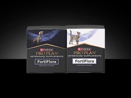 Canine and feline Pro Plan Veterinary Supplements FortiFlora&reg; Probiotic packages. 