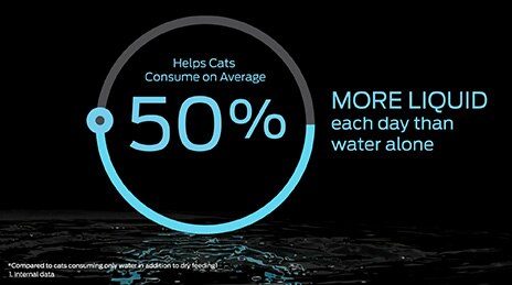 A graphic portraying Hydra Care helps cats consume 50% more liquid each day than water alone.