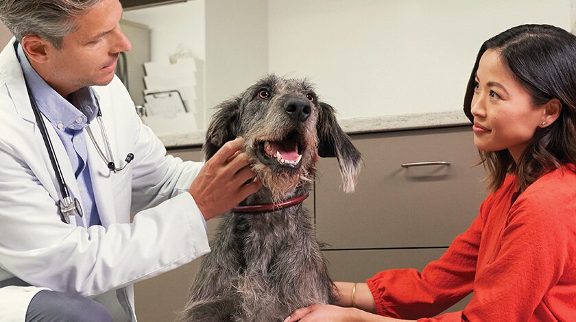 Purina Institute logo above photo of dog and cat.